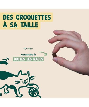 Franklin Urinary Croquettes for Sterilized Cats Well-Being with 70% Duck grain-free Mono-protein Size 10mm 3 kg - Buy Online on GoSupps.com