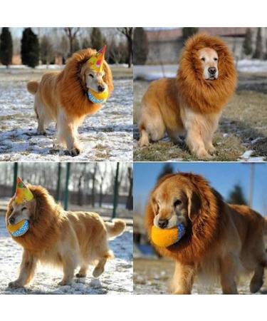 Lion Mane For Dog Realistic Black Lion Mane For Dog Comfortable Fancy Lion Hair Dog Clothes Dress For Halloween Christmas Easter Festival Party Activity Dogs Cosplay Dress Up (Dark Brown M) M Dark Brown - Buy Online on GoSupps.com