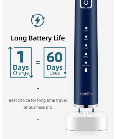 7am2m Sonic Electric Toothbrush with 6 Brush Heads for Adults and Kids Wireless Fast Charge One Charge for 60 Days 5 Modes with 2 Minutes Built in Smart Timer Electric Toothbrushes(Navy Blue) No Travel Case Navy Blue - Buy Online on GoSupps.com