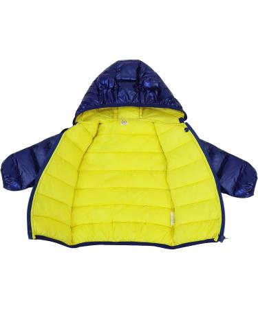 Baby Blue Hooded Puffer Jacket - 100cm (2-3 Years) - Lightweight Winter Outerwear - Buy Online on GoSupps.com