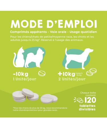 MAIKAI Anti-Osteoarthritis Tablets for Small and Medium Dogs - 120 tablets - Food supplement concentrated in Glucosamine Chondroitin MSM Omega 3 - Strengthens Joints - Buy Online on GoSupps.com