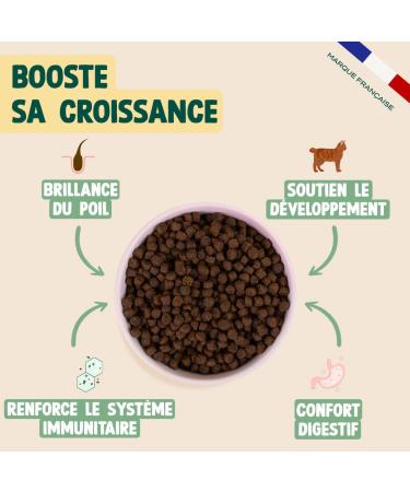 FRANKLIN Kitten Croquettes Carnivore Range 75% Meat and Fish Grain-Free Croquettes Supports Growth With Chicken and Salmon Integrated Closure Size 7mm 3 kg - Buy Online on GoSupps.com