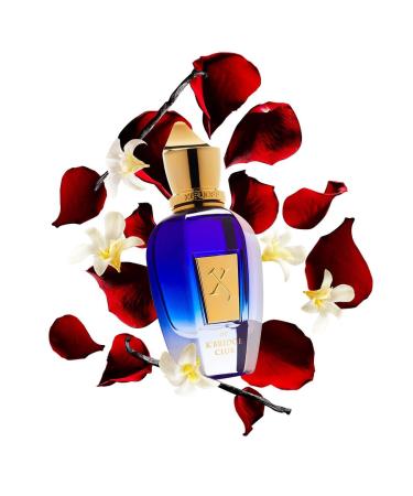 XERJOFF K'Bridge Eau De Parfum 50ml - Buy Online on GoSupps.com