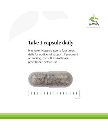 Terry Naturally Red Sage Plus - Herbal Supplement with HRG80 Red Ginseng - Muscle Energy Support for Heart Health - Aids Blood Flow & Circulation - 30 Capsules (30 Servings) - Buy Online on GoSupps.com