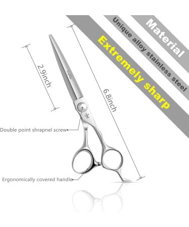 Fengliren 6.5 Inch Professional Barber Hair Cutting Scissors - Stainless Steel Alloy Hairdresser Shears for Salon and Home Use - Buy Online on GoSupps.com