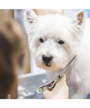 Purplebird Fellscher Dog Grooming Scissors Set - 7 Inch Professional 440C Japanese Stainless Steel - Straight Curved & Chunker Tools for Animal Care - Buy Online on GoSupps.com