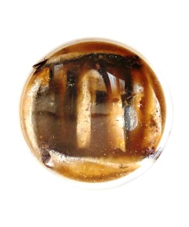 Los Picones Gourmet Anchovies Whole Snacks in Cantabrian Brine XL. Tambourine of 200 g/10 Extra Large Snacks (20 Loins of Anchovy) Gourmet Preserves with Bocartes Grandes. Santo a