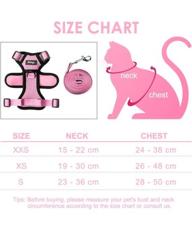 Breakproof Cat Dish Set with Adjustable Reflective Vest for Small Kittens - Pink XXS - Buy Online on GoSupps.com