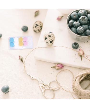 Heallily 2st Contact Lens Container Travel Set - Eye Care Accessories Tweezers Mirror & Case - Ideal for Soaking & Storing Contact Lenses - Buy Online on GoSupps.com