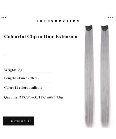 Rainbow Clip-In Hair Extensions - 24 Smooth White Tea Ash 2PCS - Premium Quality Colored Strands - Buy Online on GoSupps.com