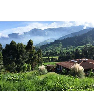 CAFES GUILIS DESDE 1928 AMANTES DEL CAFE - Organic coffee bean - High quality artisanal roast Agriculture Eco - 1kg - Buy Online on GoSupps.com