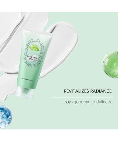 Shantou Hoygi Biological Facial Cleanser Against Pimples Deep Cleansing Formula for Acne and Blackheads Reduces Sebum and Soothes Sensitive Skin For a Clear Face - Buy Online on GoSupps.com