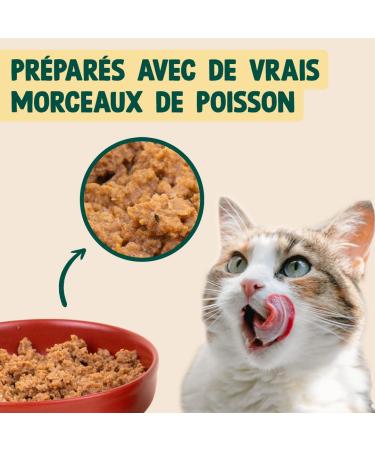 Franklin Cat P t s 12x100g Shine of the Coat 66% Fish Salmon Basil - Buy Online on GoSupps.com