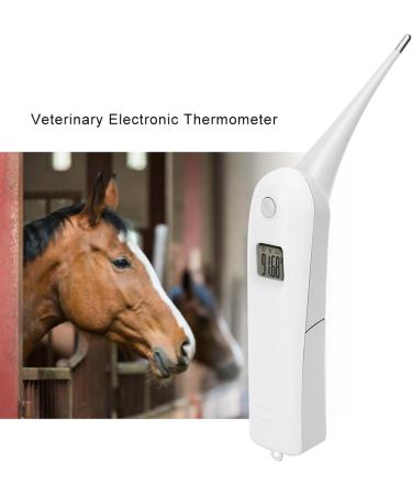Fast Digital Veterinary Thermometer for Livestock | Anus Thermometer for Pigs, Cattle, Sheep & Pets - Buy Online on GoSupps.com