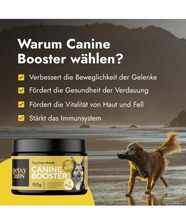 PETSY LABS Canine Booster (2 x 150 g) with Green-lipped Mussel Dog Supplement Dog Supplement Supports Immune System Joint Mobility and More - Buy Online on GoSupps.com