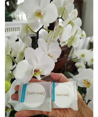 Travel Size Moisturizing Hand and Body Bar Soap Bulk - 50 White Bars Per Case - Individually Wrapped for Hotels, Rentals, and Charity Donations - Mild and Fresh Scent - 1oz - Buy Online on GoSupps.com