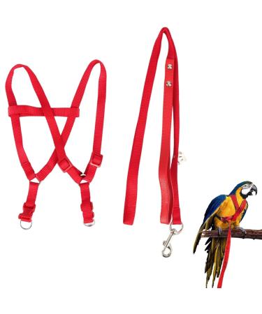 Felenny bird dishes and leash adjustable birdeine indispensable accessories outdoor flight anti-bite suitable for scarlet red ara sun conure nymphensittich papagei red (small)