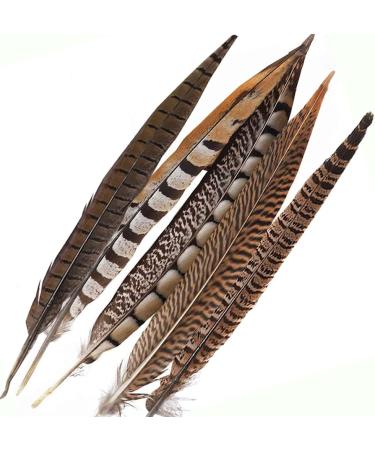 Flying Feathers Natural Pheasant Feathers 4 Style 15-20cm 12pcs for DIY Craft and Party Decor FF03 - Buy Online on GoSupps.com