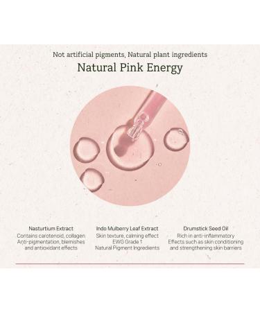 Buy THE PLANT BASE Time Stop Vitamin Ampoule | Prunus Yedoensis 83% | 14 Vitamins & Bakuchiol | Premium K-Beauty for Youthful Skin - International Shipping Available - Buy Online on GoSupps.com