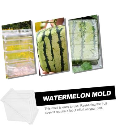 OSALADI Tools Pumpkin Watermelon Shaping Mold Fruit Forming Mold Vegetable Stereotypes Gardening Supplies 15x15cm Transparent - Buy Online on GoSupps.com