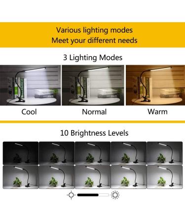 LED Dimmable Clamping Lamp - 3 Modes 10 Brightness Levels USB Powered Flexible Swan Neck - Perfect for Bedroom & Office (7W Black) - Buy Online on GoSupps.com