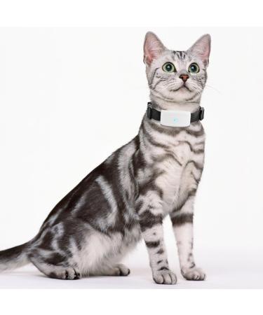 Buy Winnes Dog GPS Tracker TK911 - Waterproof Real-Time Tracking & Geofencing for Small Pets - No Subscription Required - Buy Online on GoSupps.com