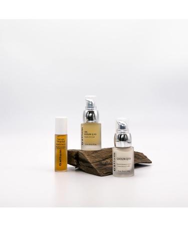 GALIUM Eye and Lip Contour Routine Set with Coenzyme Q10 | Professional Cosmetics | Pack of 3 Products | PREMIUM Eye Protocol | Regeneration and Radiance | Made in Spain - Buy Online on GoSupps.com