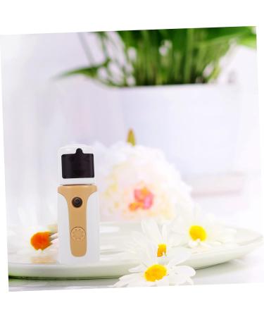 Ipetboom 1 Set Hydrating Instrument Steamer Pot Rechargeable Sprayer Moisturizing Mister Electric Steamer Air - Buy Online on GoSupps.com