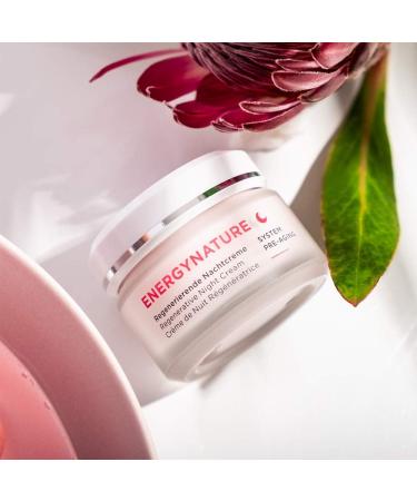 ANNEMARIE B RLIND ENERGYNATURE SYSTEM PRE-AGING Regenerating Night Cream 50ml - For Normal to Dry Skin - Nourishing Energizing & Regenerating - Vegan - Buy Online on GoSupps.com