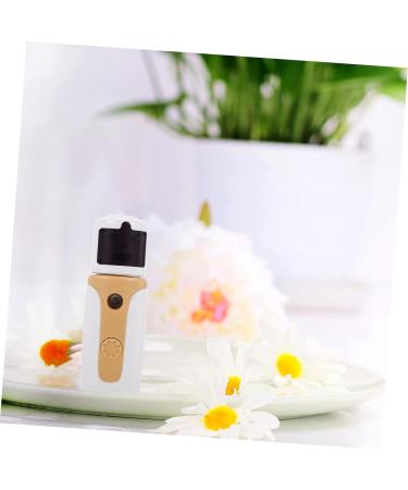 SKISUNO Handy Mist Sprayer 1 Set Hydrating Instrument Steamer for Face Facial Mister Steamer Face Water Meter Cool Face Steamer - Buy Online on GoSupps.com