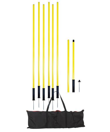 American Challenge Portable Coaching Poles with Spring Base