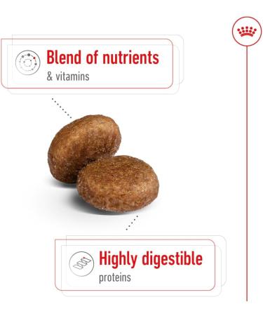 Royal Canin Dog Food Maxi Adults 5+ 4kg - Buy Online on GoSupps.com