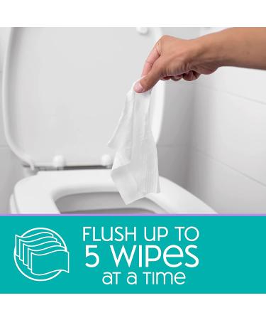 Nice 'N Clean SecureFLUSH Adult Flushable Wipes with Aloe & Vitamin E | 42 Count x 6 Packs - Buy Online on GoSupps.com