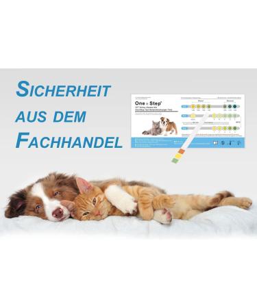 One+Step Cat Health Test - Quick Urine Kidney Check at Home - 1 Piece for Pet Health - Buy Online on GoSupps.com
