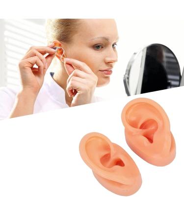 Soft Waterproof Ear Display Model | Simulated Model for Doctors & Centers - Buy Online on GoSupps.com