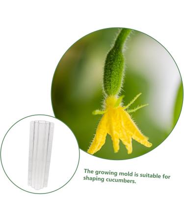 VANZACK Garden Fruit Mould 2pcs Vegetable Shaping Vegetables Flower Shaped Cucumber Molds Fruit Molds Modeling - Buy Online on GoSupps.com