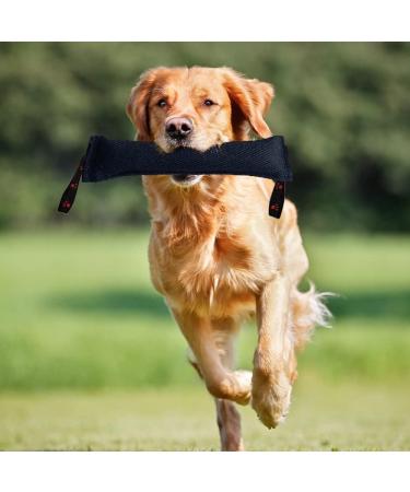 Dongker Dog Bite Sausage - 30cm Robust Dog Toy with 2 Handles for K9 Training Tug-of-War & Play - Durable Orange Design - Buy Online on GoSupps.com