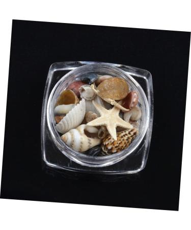 minkissy 1 Box Nail Art Decoration Nail Jewelry Shell Decor Conch Jewelry Nail Decorations for Nail Art Conch Shells Nail Decoration Nail Ornament 3d Nail Stickers Manicure - Buy Online on GoSupps.com