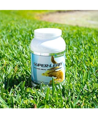G6 Sports Nutrition Super-Lean Deluxe Meal Replacement (32g Protein 7g Fiber 25 Added Vitamins & Minerals) 2.5lb Jar Peanut Butter Milkshake - Buy Online on GoSupps.com