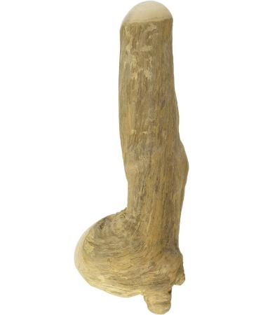 Chewies coffee wood caustab for dogs - chewing bones dog toys - 100 % natural dog accessories risk low & durable - size L: For dogs from 20 kg body weight 1 Pack 1 piece (1 Pack) - Buy Online on GoSupps.com