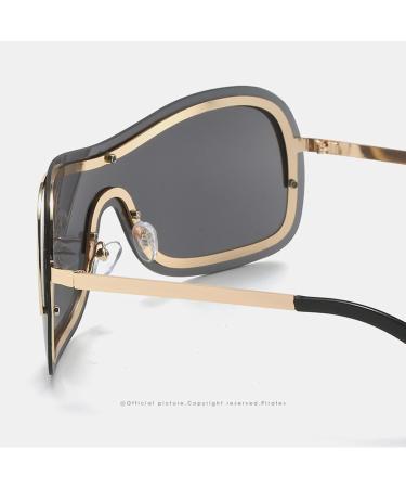 Sport Sunglasses | Women Sunglasses UV Protection Cycling Driving Fishing Sun Glasses Portable Wrap Around Cycling Puchen Gold Frame Full Gray Film - Buy Online on GoSupps.com