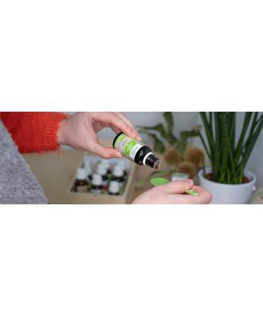 HERBALGEM - Macerate Mother - Organic Walnut - Food Supplement Gemmotherapy Concentrated - Fresh Bud Extract - For Digestion & Intestinal Flora - 30 ml - Buy Online on GoSupps.com