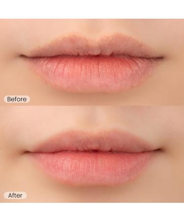 Epielle Lip Balm Duo Apple Lime & Cherry Hydrating Tint Sheer Shea butter & Fruit Extract Kbeauty Stocking Stuffers Apple Lime Cherry Balm Duo - Buy Online on GoSupps.com