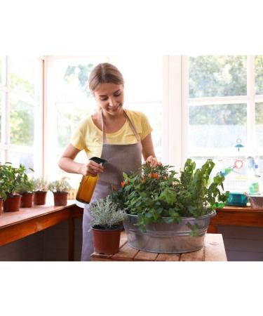 Panendiano Braunglas Spray Bottles & Watering Can - 250ml Adjustable Spray Head Reusable for Plants Flowers Garden & Hairdressing - 4 Pack Transparent - Buy Online on GoSupps.com