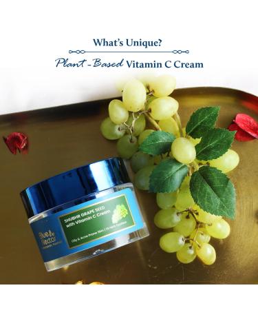 Blue Nectar Vitamin C Face Moisturizer for Oily & Acne Prone Skin | Oil-Free & Plant-Based | 19 Herbs 1.76 fl oz - Buy Online on GoSupps.com