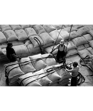 Bristot Caf en Grains Espresso 1 kg - Buy Online on GoSupps.com