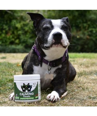NutriPaw Calming Treats For Dogs - Reduce Stress Fear Separation Anxiety Barking Hyperactivity Reactivity Aggression Travel Issues - Relaxation without Drowsiness dogs Single Pack - Buy Online on GoSupps.com