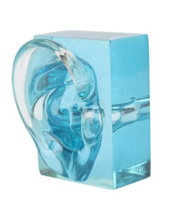 Right Ear Display Model Professional Piercings Practice Acrylic Blue Transparent Waterproof Fake Ear Model Displays for Sound Aids Teaching Tools