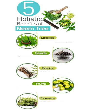 Pure Neem Powder Leaves for Eating & Drinking skin and Hair Nutrition Dehydration Evens Skin Tone Acne Pimples/Hair Thicker & Stronger -200 Gram - Buy Online on GoSupps.com