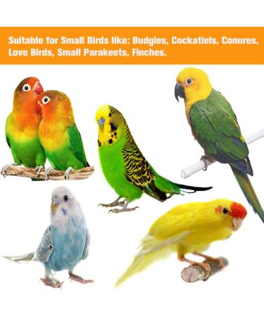 Yorgewd 7 Pack Bird Toys Natural Wood Small Bird Cage Toys Small Parrot Swing Chewing Toys for Budgies Small Parakeets Conures Love Birds Cockatiel Finches - Buy Online on GoSupps.com